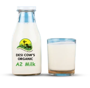 A2 Milk Bottle